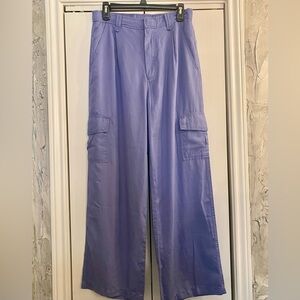 Hunter & Brown Cargo Pants - Periwinkle Blue - SZ L - NEW with tags
